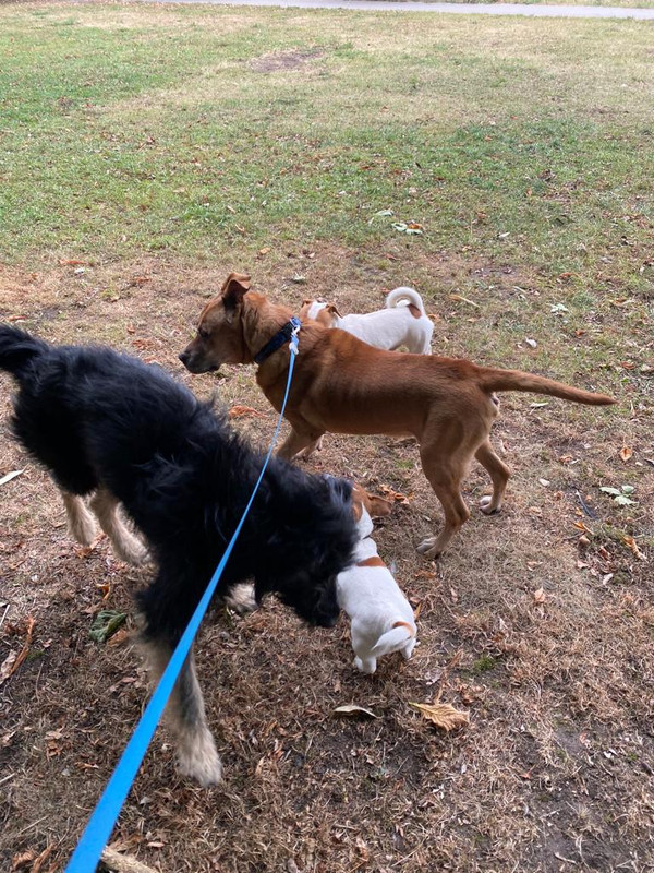 29A903B9-D439-4D40-A748-FCB64CBD1331