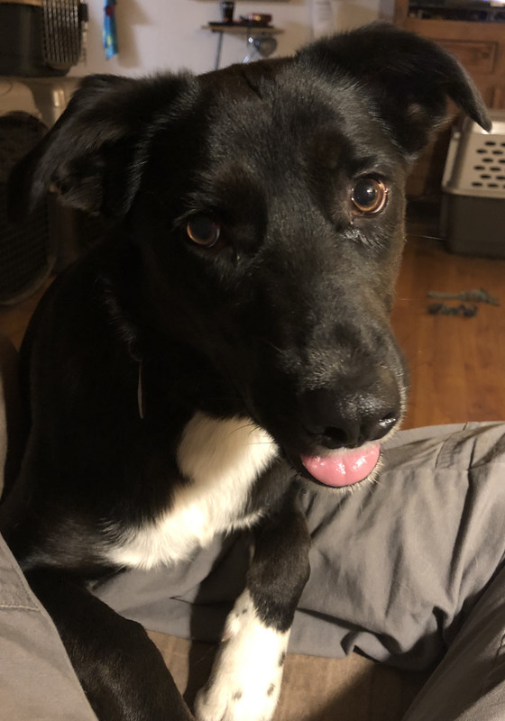 8F43412A-3BD1-40D7-96AD-37D7BD9BCAE2