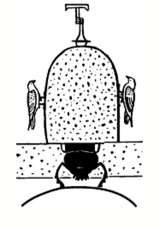 Ленивый Египет (Хургада, Луксор, Каир), декабрь 2025 - январь 2026