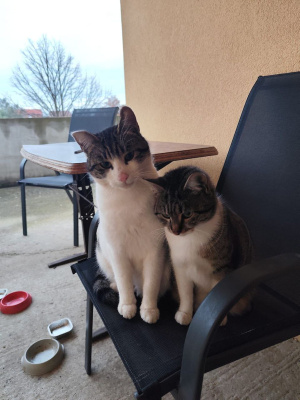 photo 2026 01 23 08 17 23