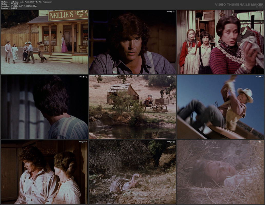 Little House on the Prairie S06E04 The Third Miracle.mkv