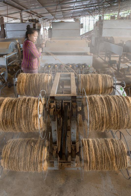 Coir fiber processing