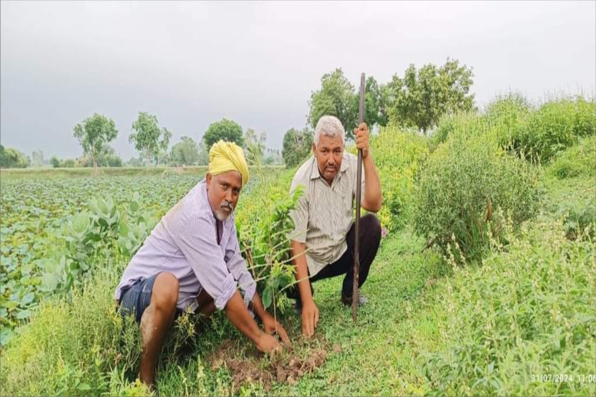 एक पेड़ माँ के नाम अभियान के अंतर्गत सीएससी द्वारा वृक्षारोपण