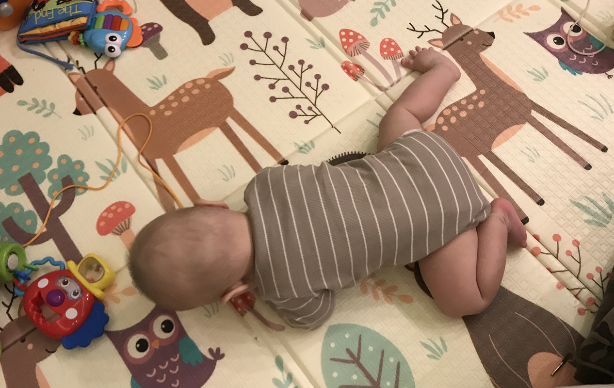 ECF16755-4797-44E6-AAE6-C40D75BC6E3D