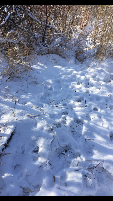 F24D8EA4-11FE-41FF-8D91-69463D43B864