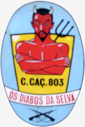 CCac803