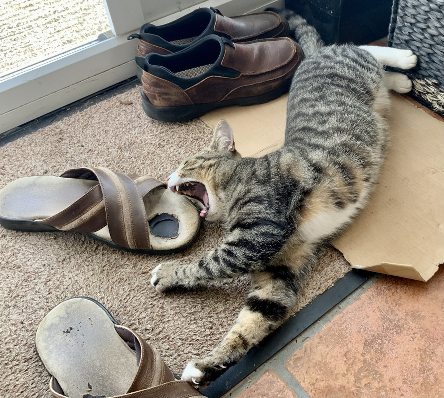 25FF0DF4-B836-4C8B-A703-EDC3BB811CD7