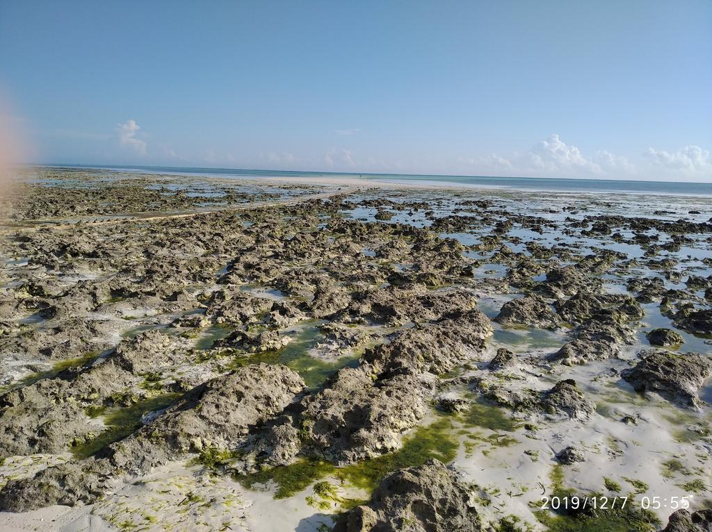 IMG_20191207_055501_1