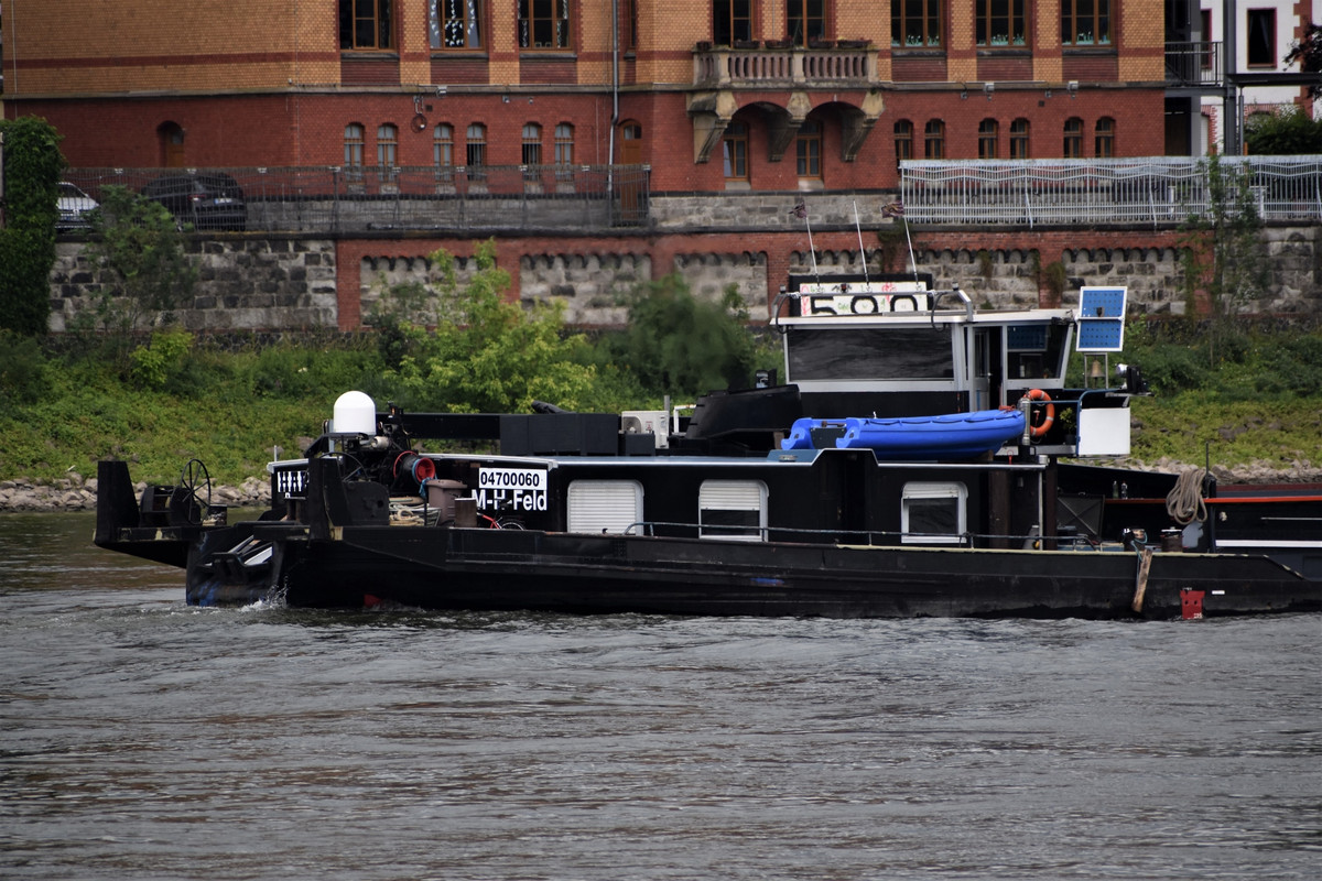 2022.06.27a4c Schiff Harley (1940x1293)