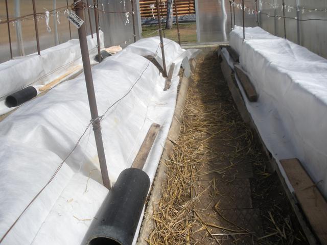 Легкое весеннее укрытие в теплице-1, апрель 2018г