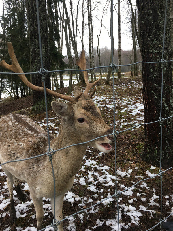 C56A1FAE-CA31-45B3-80D5-BC1B82B1F915