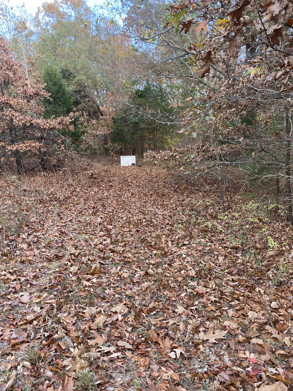 2CD6A291-5916-4531-BC60-9971B7F9DE80