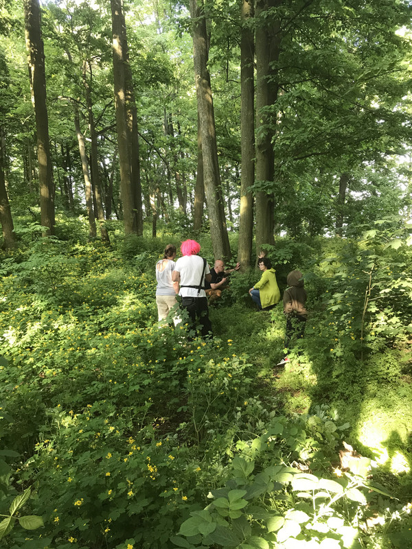 08.52 - IMG_3511 (Piter)