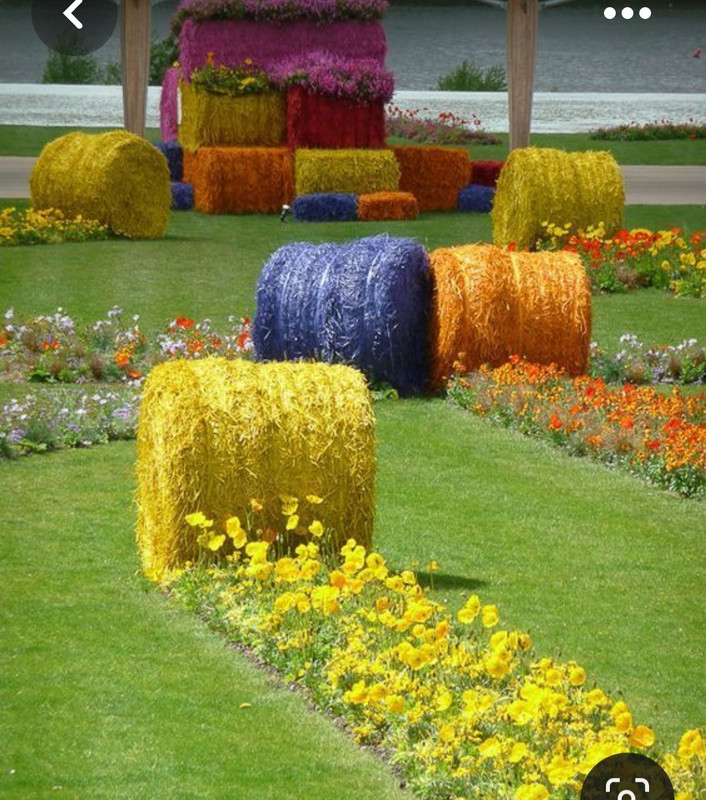 Screenshot_20230327_224231_Pinterest