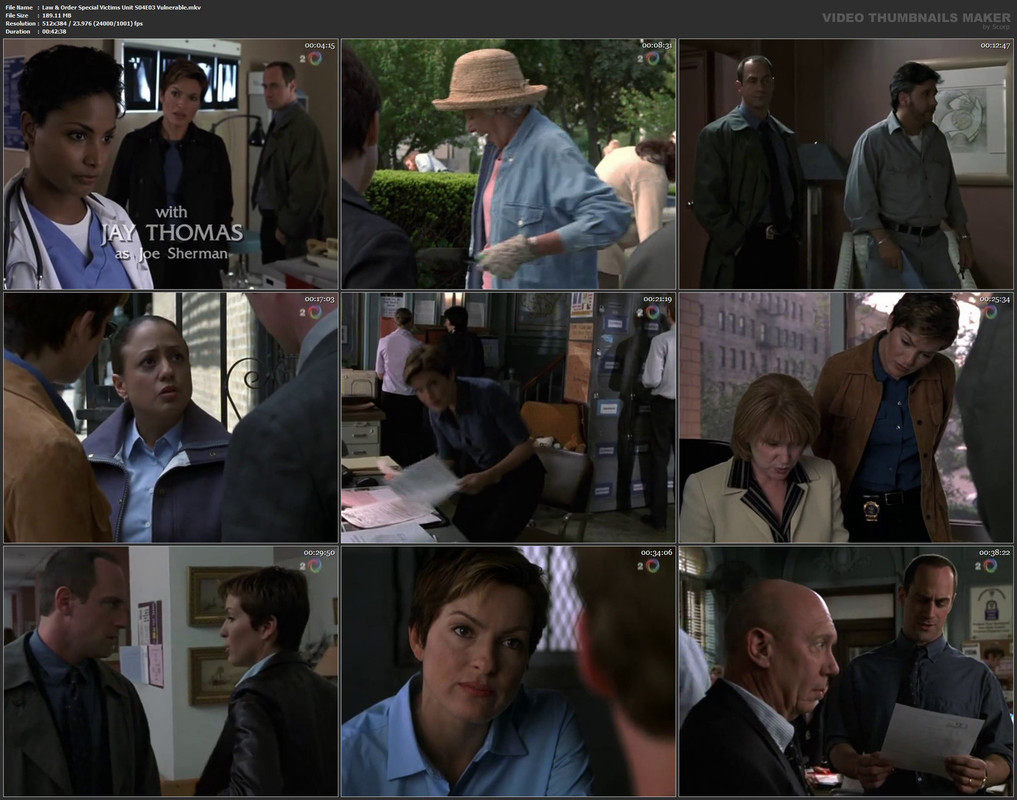 Law & Order Special Victims Unit S04E03 Vulnerable.mkv