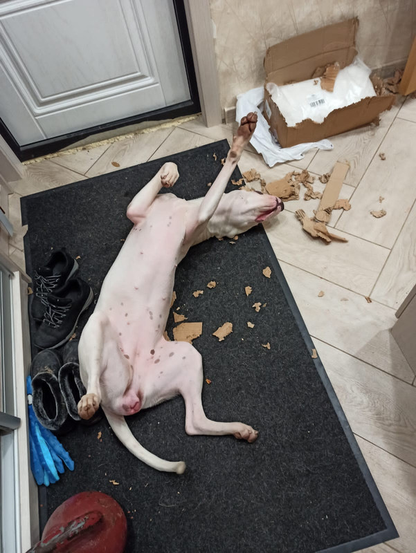 328ABC2F-9F58-4786-AAFA-6B377A512C1E