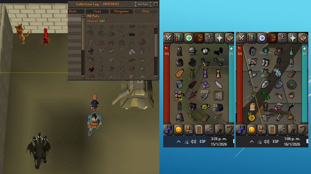 Pets Untradeable Items