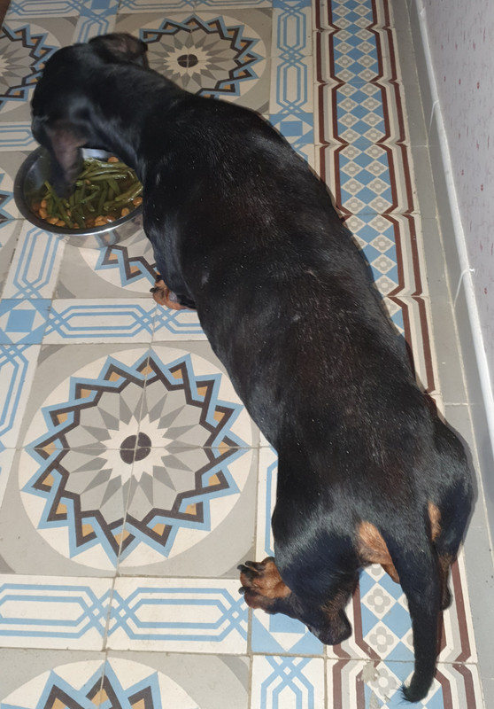 [Image: 20220126-135123.jpg]