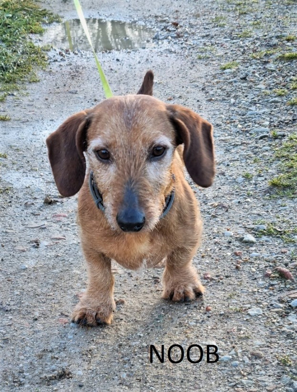 [Image: image000000013.jpg]