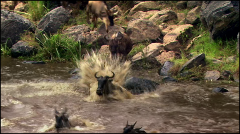 [Image: 26anfi28kyzi.png]