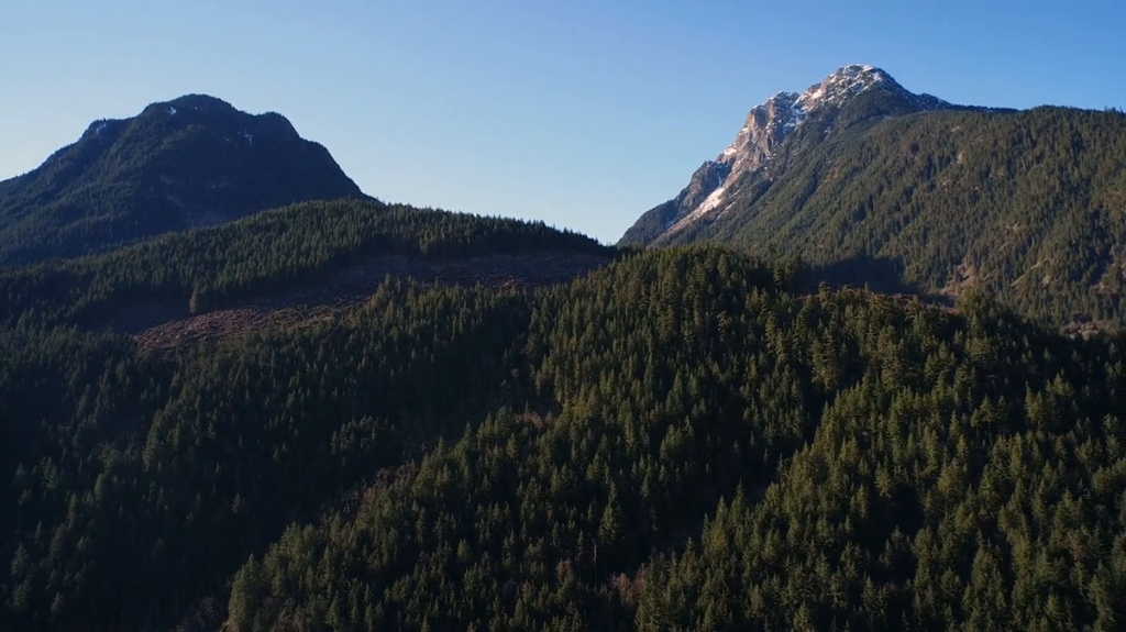 [Image: xzp82ns2o6gt.png]