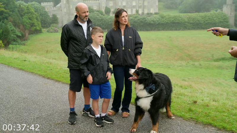 [Image: t2jq58wecfa2.png]