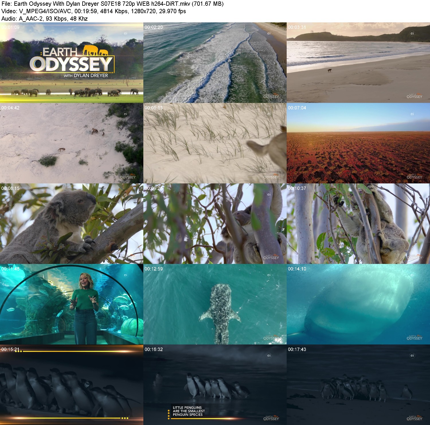 [Image: w4ccy967kpck.jpg]