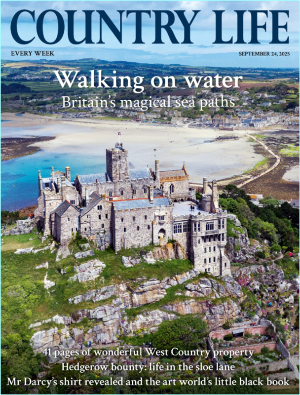 [Image: f5hlxi6df49a.png]