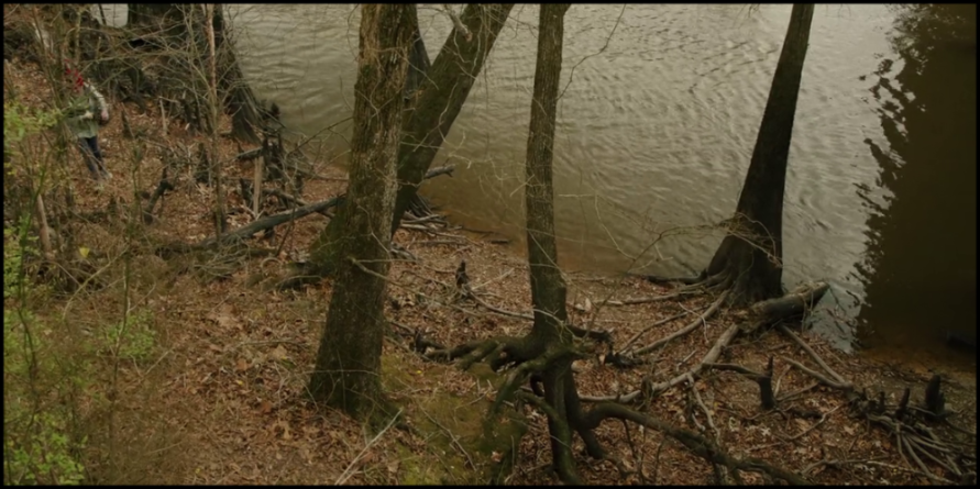 [Image: 604m9ugvgsso.png]