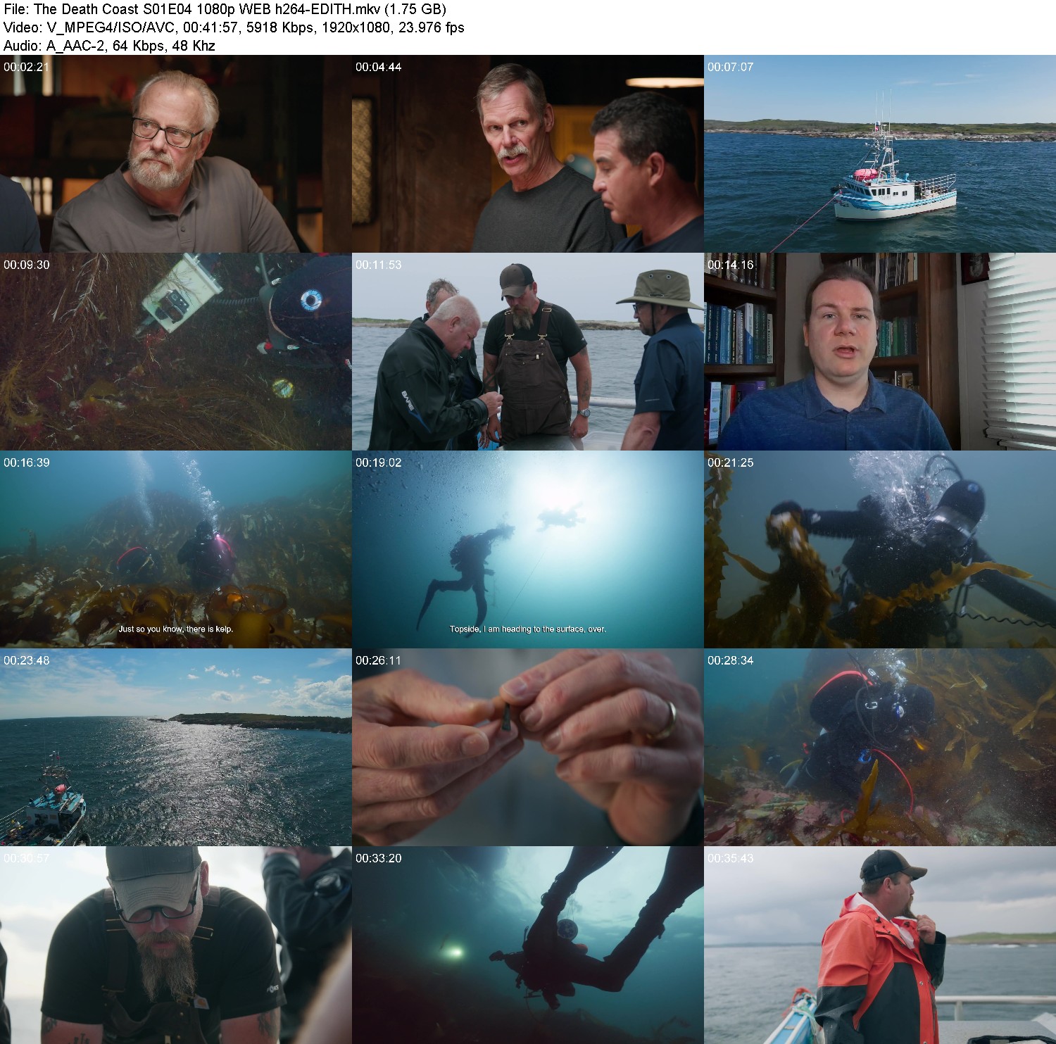 [Image: vze9qvp10l8c.jpg]