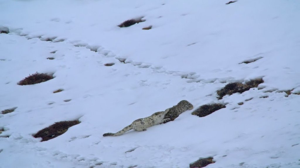 [Image: pr111ay0sywc.jpg]