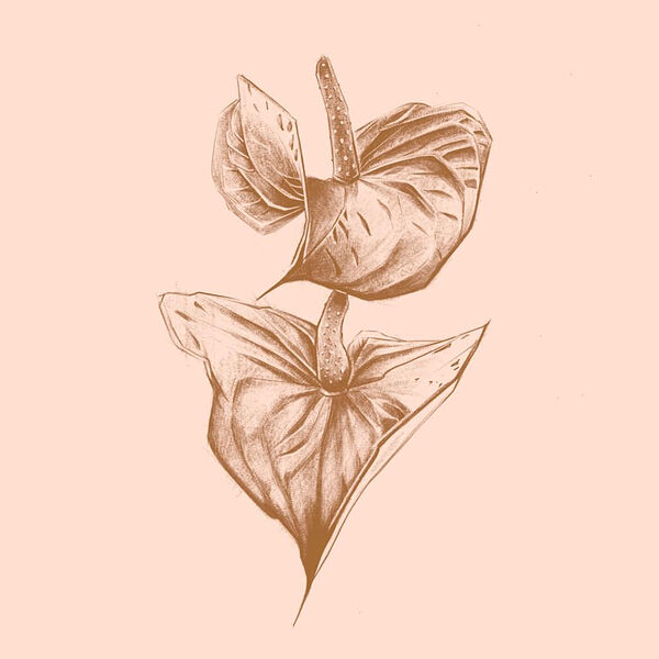 [Image: y9gm5s7tj0ij.jpg]