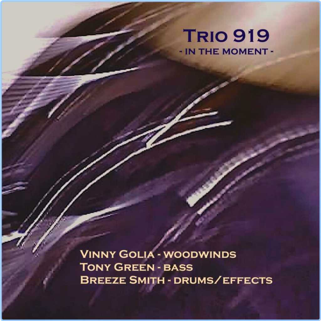 Trio919 In The Moment (2024) [FLAC] 16BITS 44 1KHZ 1e2qy34xntfv