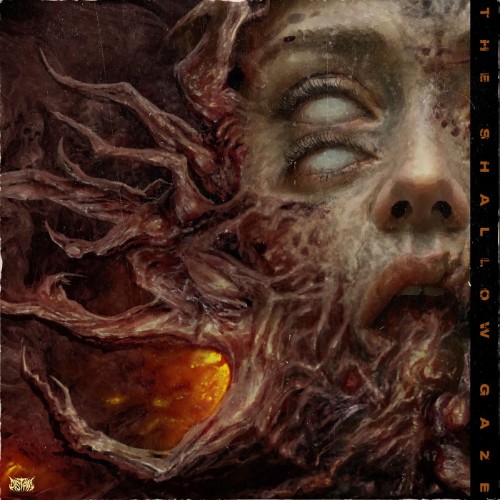 00-distant-the-shallow-gaze-web-2026-fkk