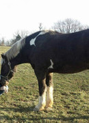 83BBA2E6-F905-425C-84C9-0EBA7B9CE72C