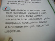 https://i.postimg.cc/BX0jSRJb/100-8584.jpg