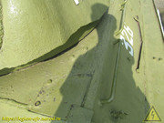 IMG-3132
