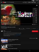 Screenshot_20190213-030601