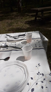 IMG-20210527-WA0001.jpg