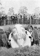 1938 Grand Prix races - Page 4 3803-doningtongp-01