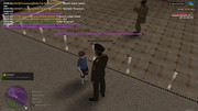 IMG-8479