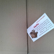 carton-mohammad (152)