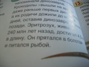 https://i.postimg.cc/BXBXXNvg/100-8587.jpg