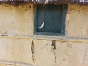 IMG-20241106-121215