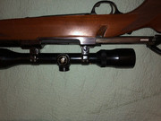 IMG-0534