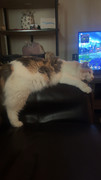 IMG-1640