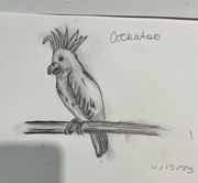 Bipolar Check-in #88 (again!)