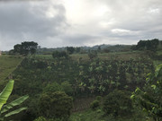 IMG-8312