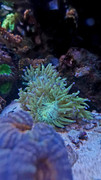20220905-110611.jpg