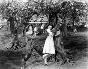Judy-Garland-md50